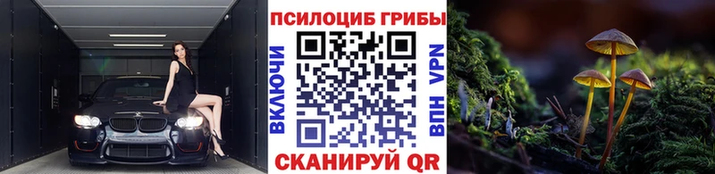 Псилоцибиновые грибы Psilocybe  Обоянь 